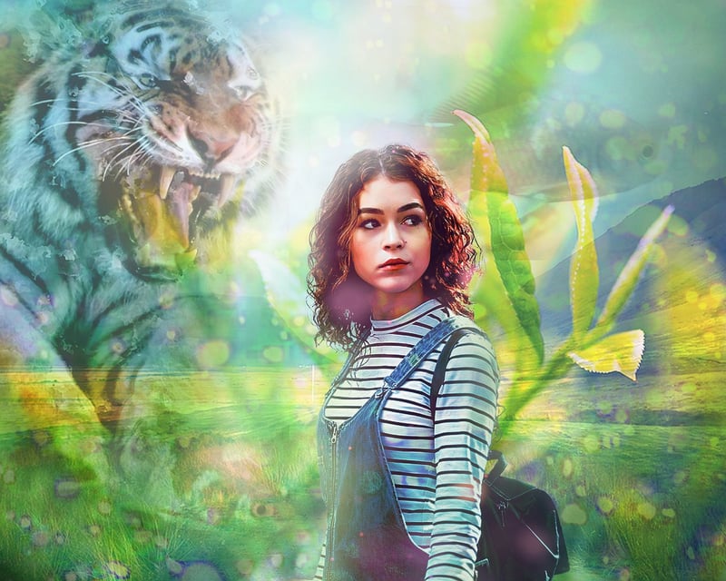 Whimsical Wonderland